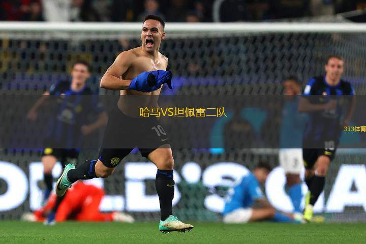 哈馬VS坦佩雷二隊(duì)