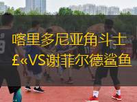 喀里多尼亞角斗士VS謝菲爾德鯊魚(yú)