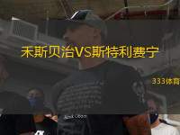 禾斯貝治VS斯特利費寧