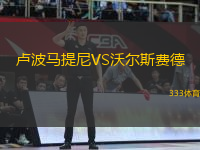 盧波馬提尼VS沃爾斯費德