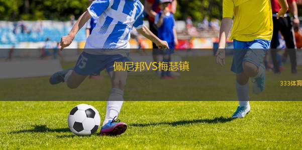 巴林根VS霍倫巴克