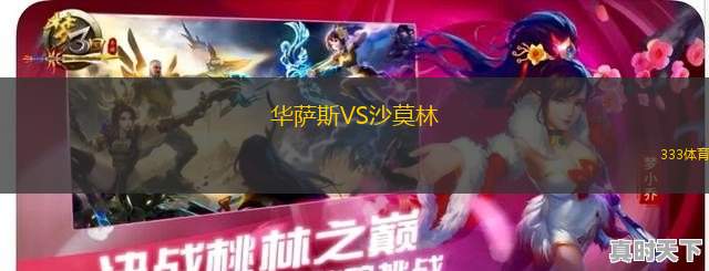 圣彼得堡迪納摩VS圖拉兵工廠B隊