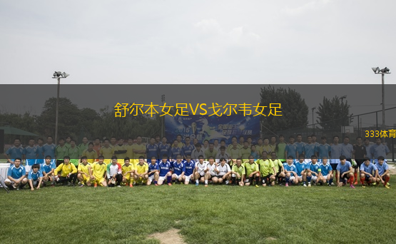 舒爾本女足VS戈?duì)栱f女足