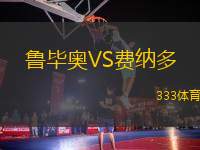 魯畢奧VS費納多