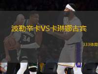 波勒辛卡VS卡琳娜古賓