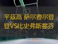 平茲高 薩爾費爾登VS比史弗斯霍芬
