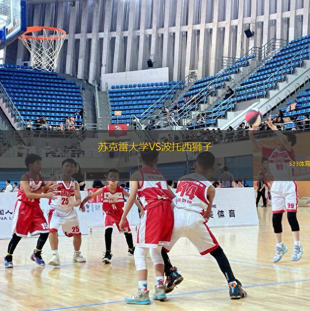 蘇克雷大學VS波托西獅子