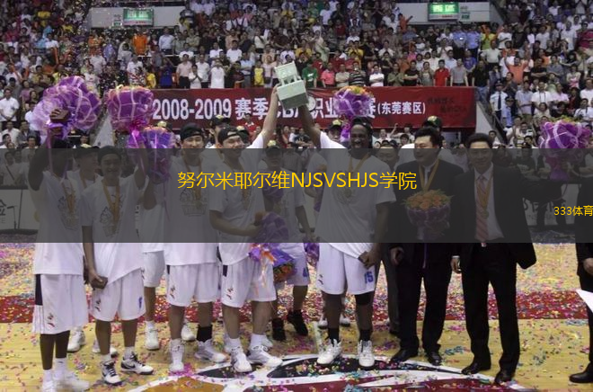 努爾米耶爾維NJSVSHJS學(xué)院