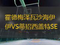 霍德梅澤瓦沙海伊VS蒂招西蓋特SE